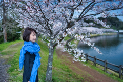 桜ポートレート