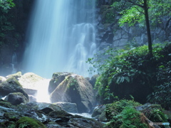 陽と飛沫を浴びる岩