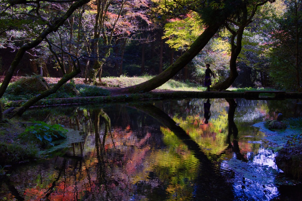 山吹水源