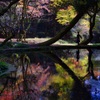 山吹水源
