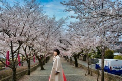 桜ポトレ