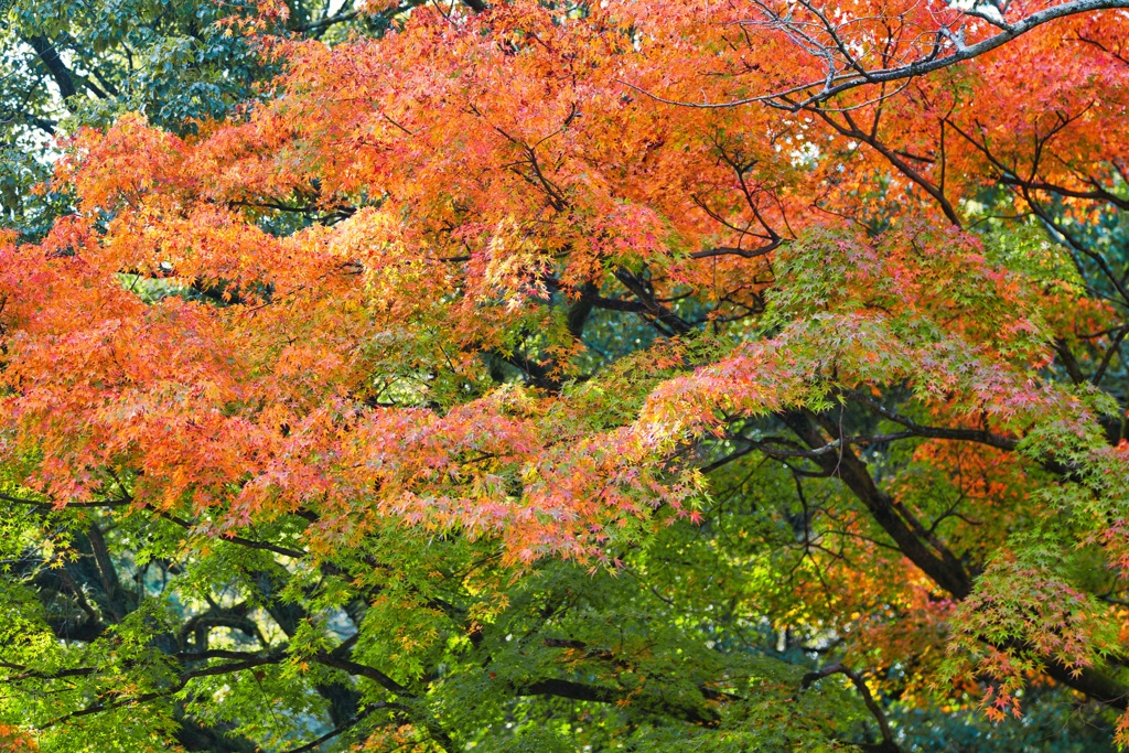 北岡自然公園