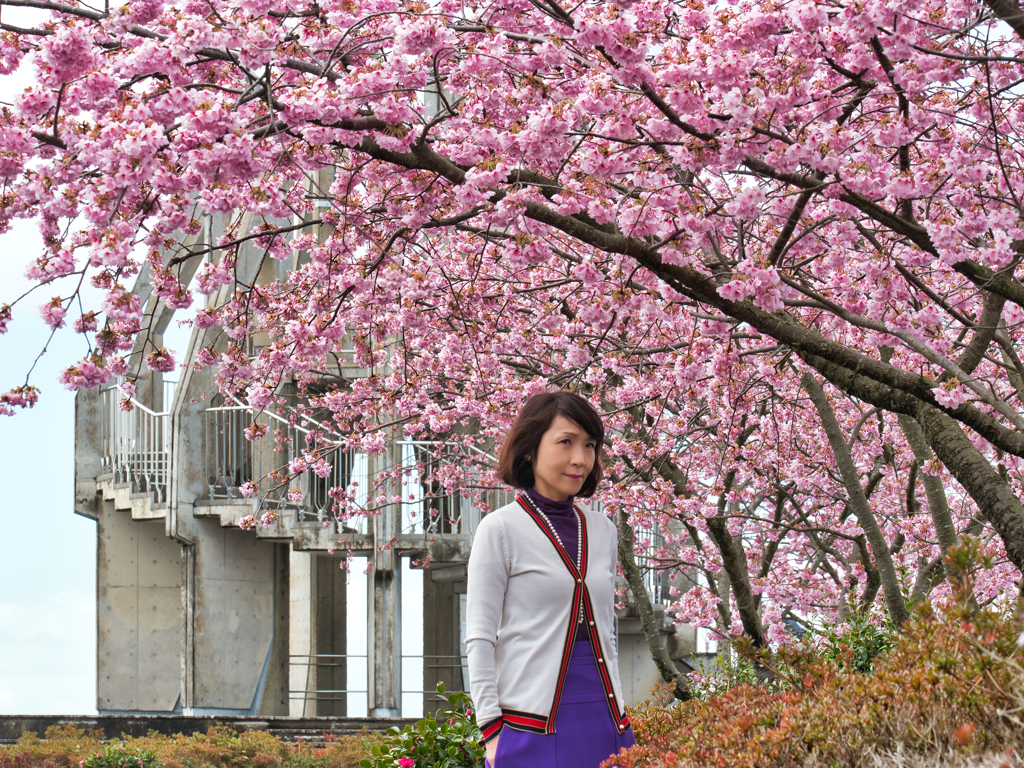 河津桜