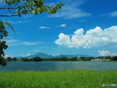 夏の雲