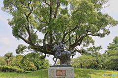 美少年兵士