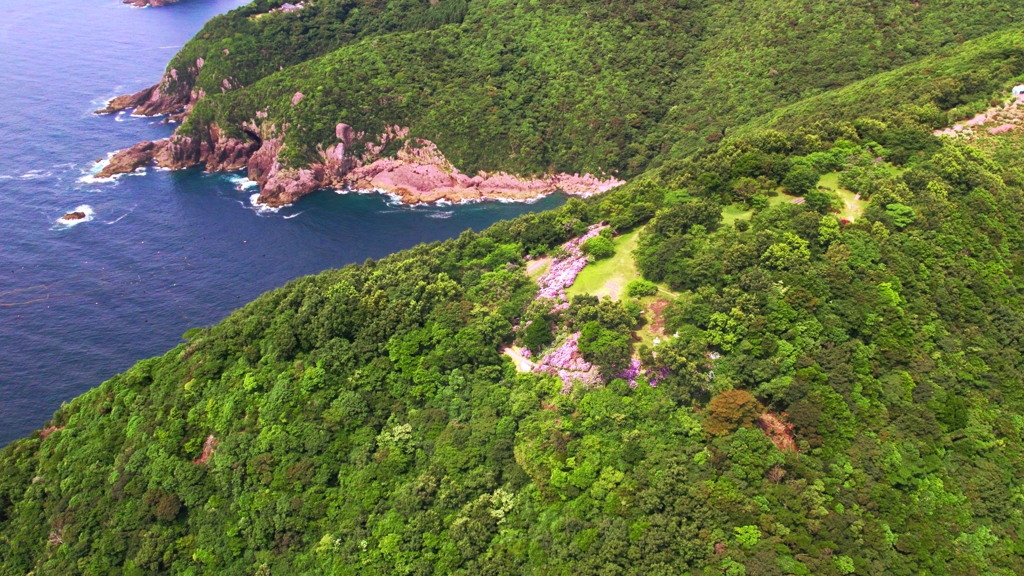 桃源郷岬