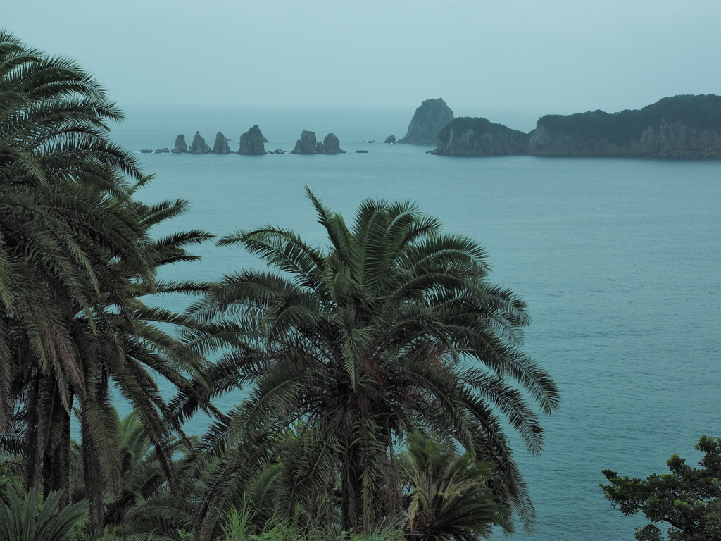 雨の南海