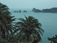 雨の南海