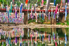 鯉の水鏡