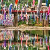 鯉の水鏡