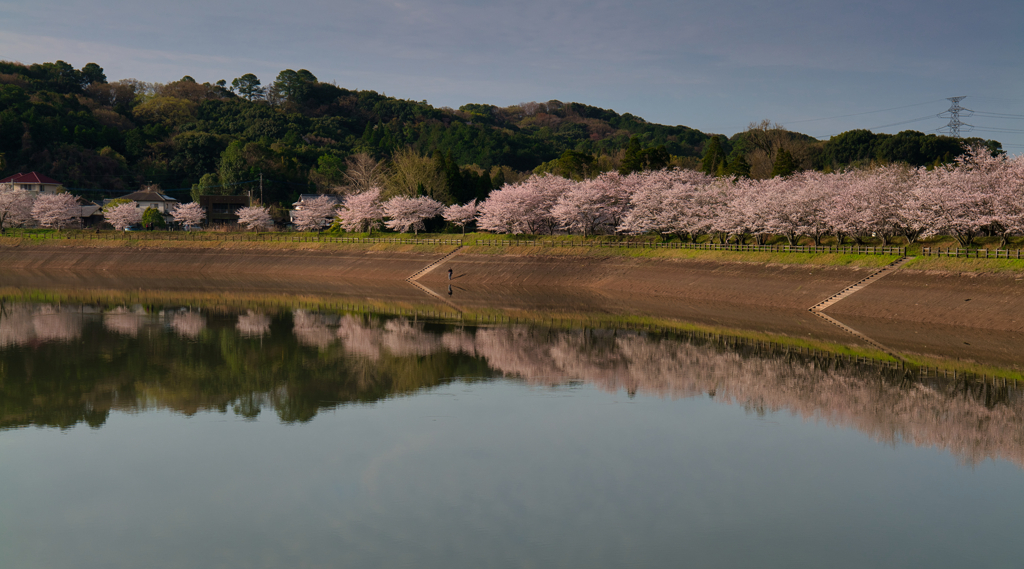 立岡自然公園