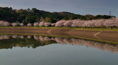 立岡自然公園