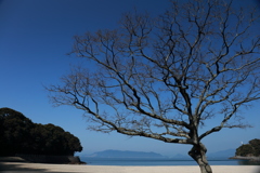 春へ
