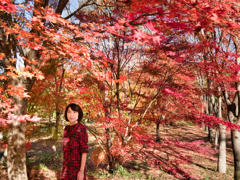 紅葉狩り
