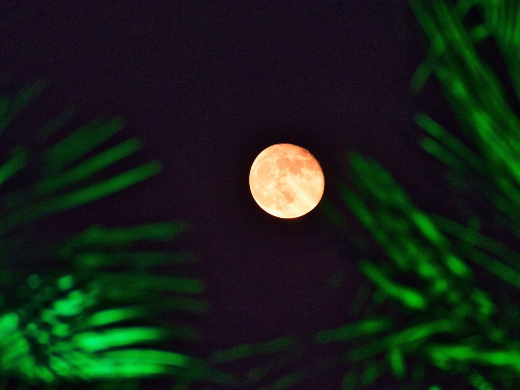 Strawberry moon