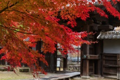 北岡自然公園