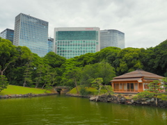 都会のオアシス・浜離宮恩賜庭園3