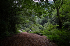 チップの遊歩道