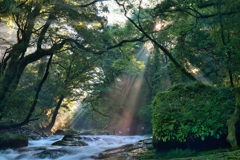 菊池渓谷