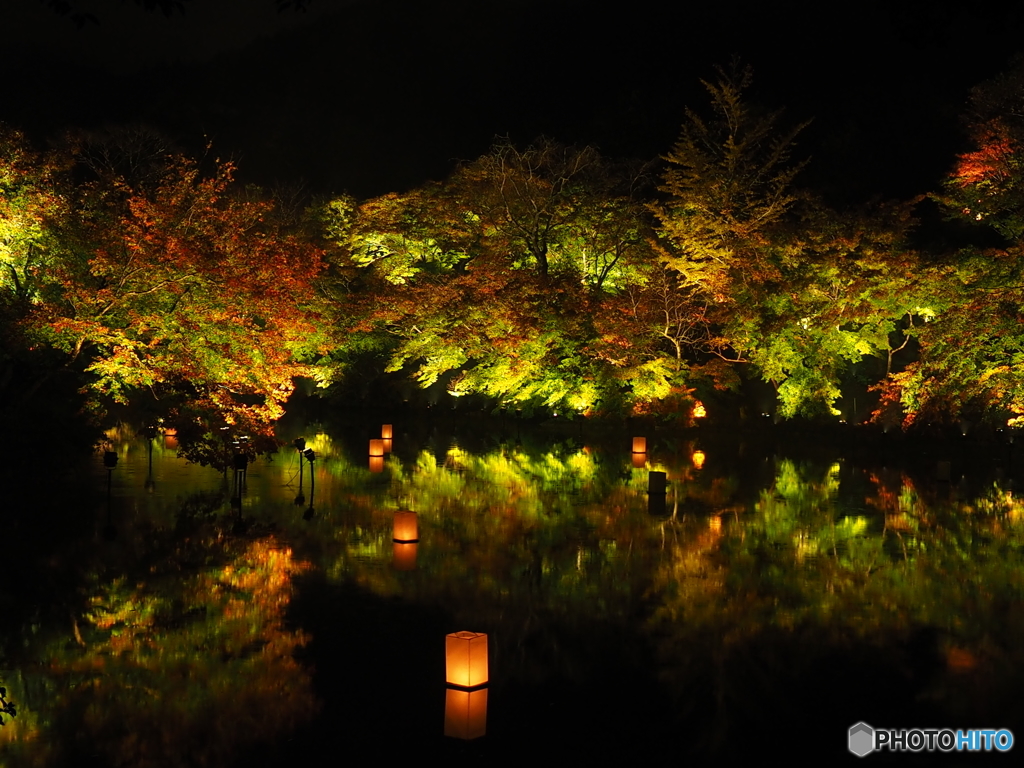 紅葉ライトアップ@御船山楽園