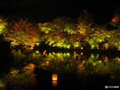 紅葉ライトアップ@御船山楽園