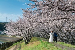 立岡自然公園