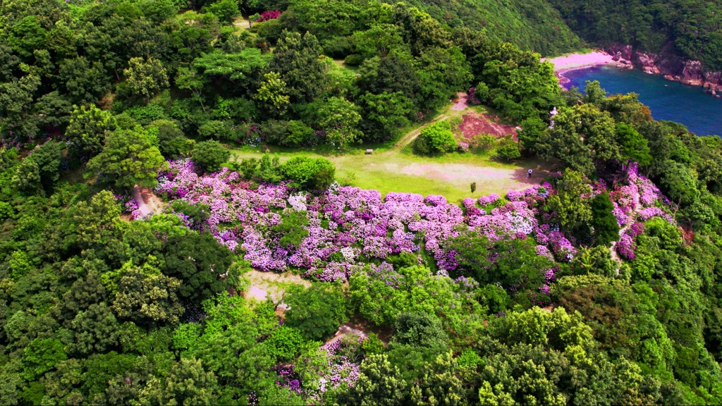 桃源郷岬