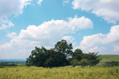 秋の空