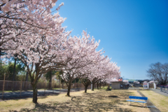 帰り道