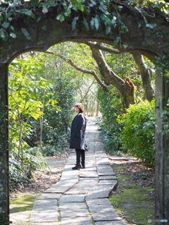 Entrance_嫁ポ1
