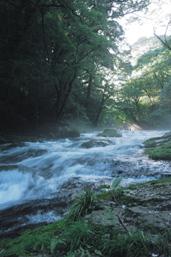 菊池渓谷