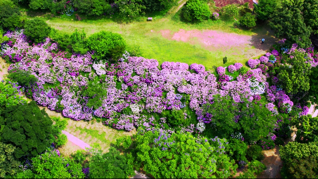 桃源郷岬