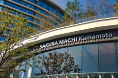 SAKURA MACHI
