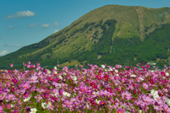 秋の阿蘇山