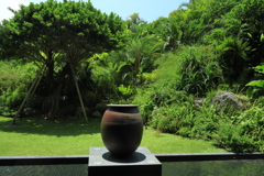 やちむん ＆ OKINAWA green