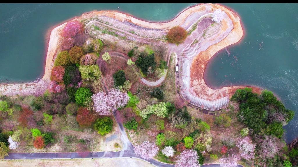 花の半島
