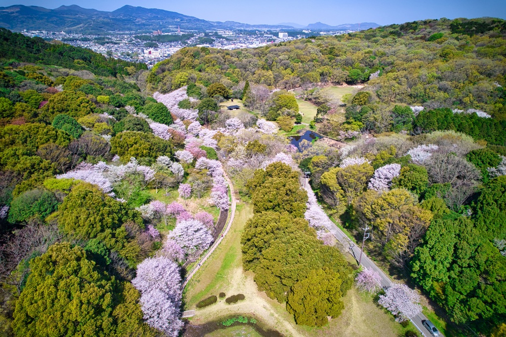 立田山