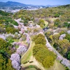 立田山