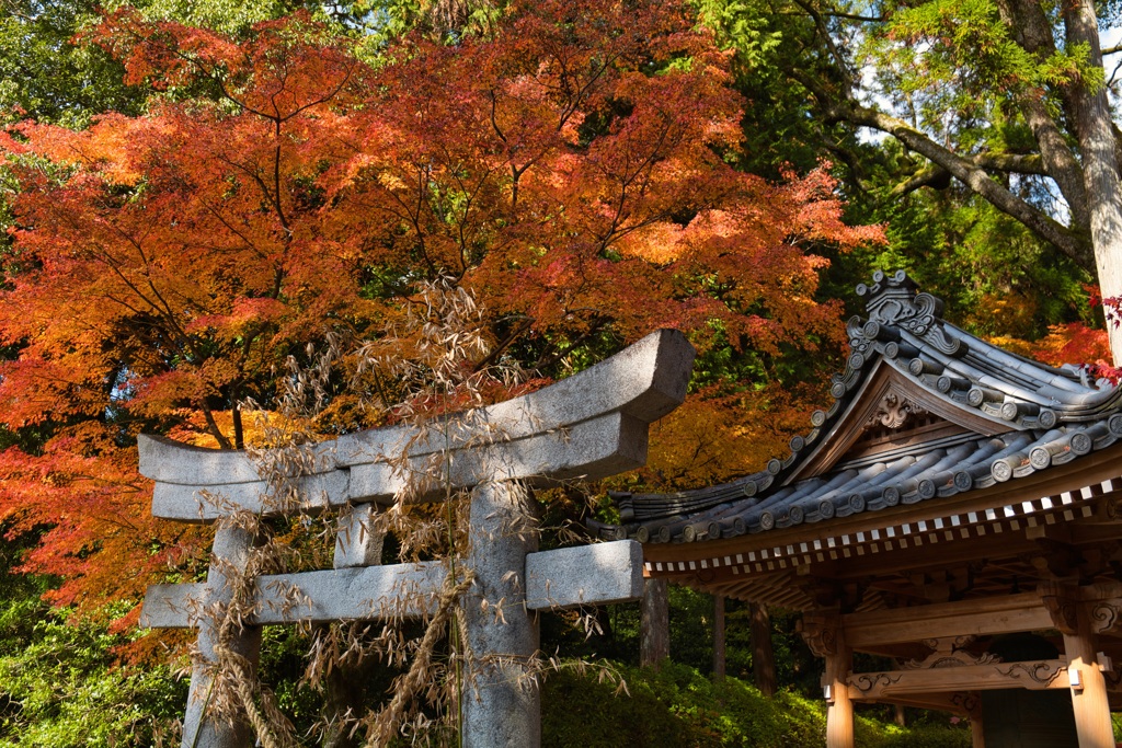 大興善寺