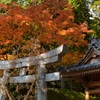 大興善寺
