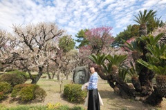 Plum Blossom Garden