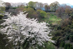 三の丸からの絶景