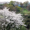 三の丸からの絶景