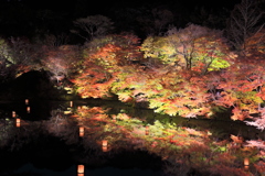 御船山楽園紅葉ライトアップ