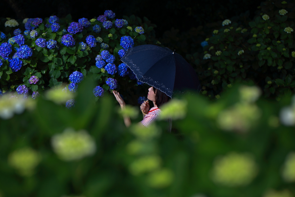 朝の雨