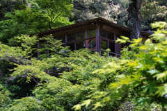 庵