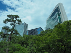 都会のオアシス・浜離宮恩賜庭園2