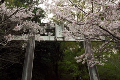 菊池神社