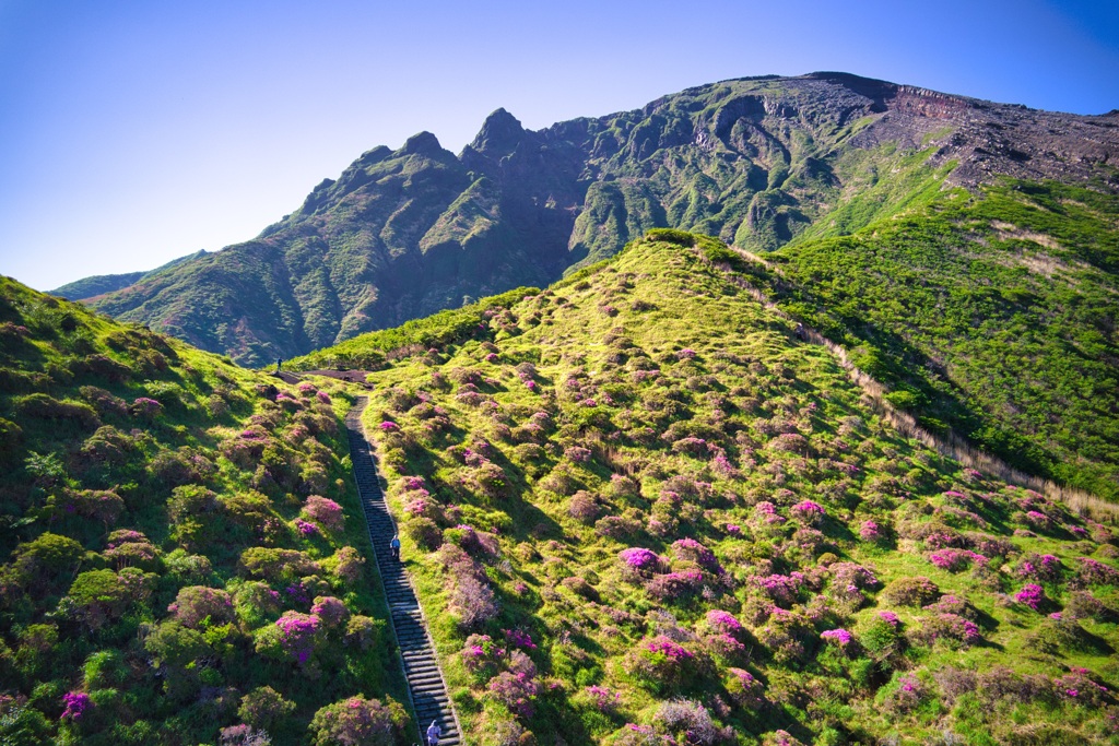 根子岳