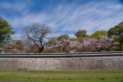 熊本城長塀